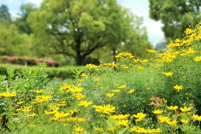 春日井市公園巡りメインビジュアル